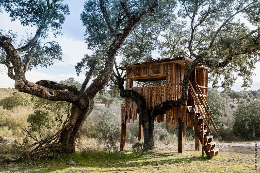 Eco-Lodge En La Reserva Privada Campanarios De Azaba - Proyecto De Conservacion Espeja Bagian luar foto