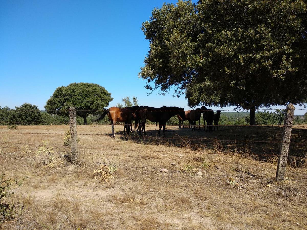 Eco-Lodge En La Reserva Privada Campanarios De Azaba - Proyecto De Conservacion Espeja Bagian luar foto