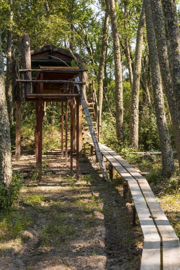 Eco-Lodge En La Reserva Privada Campanarios De Azaba - Proyecto De Conservacion Espeja Bagian luar foto