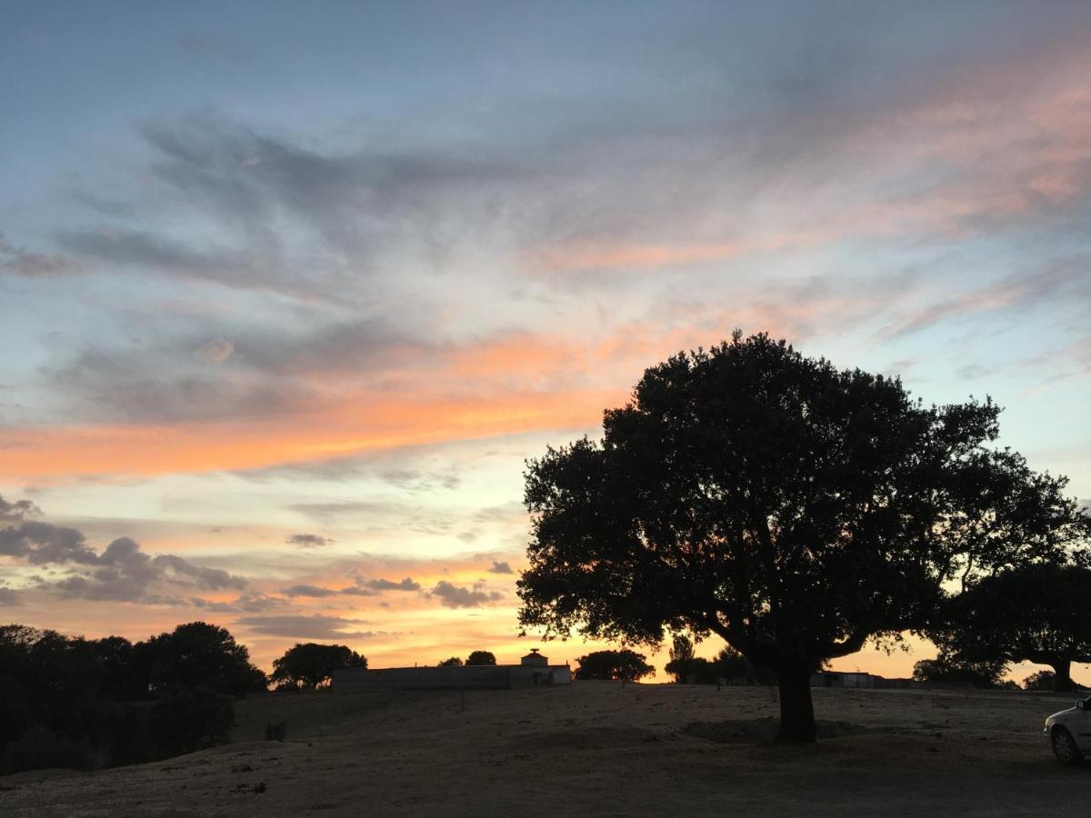 Eco-Lodge En La Reserva Privada Campanarios De Azaba - Proyecto De Conservacion Espeja Bagian luar foto