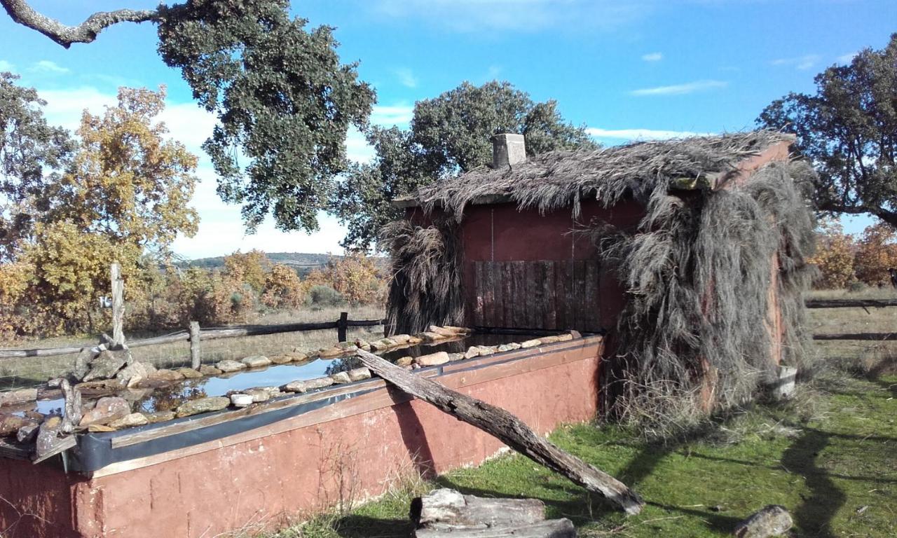Eco-Lodge En La Reserva Privada Campanarios De Azaba - Proyecto De Conservacion Espeja Bagian luar foto